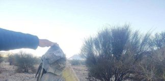 واشنطن تنقذ الطيار الثاني من إيران.. ترامب: سابقة في الذاكرة العسكرية