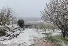 الطقس ماطر بغزارة مع برق ورعد حتى الاربعاء … وثلوج على 1800 متر ورياح تتجاوز سرعتها الـ 80 كلم/س