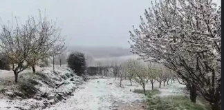 الطقس ماطر بغزارة مع برق ورعد حتى الاربعاء … وثلوج على 1800 متر ورياح تتجاوز سرعتها الـ 80 كلم/س
