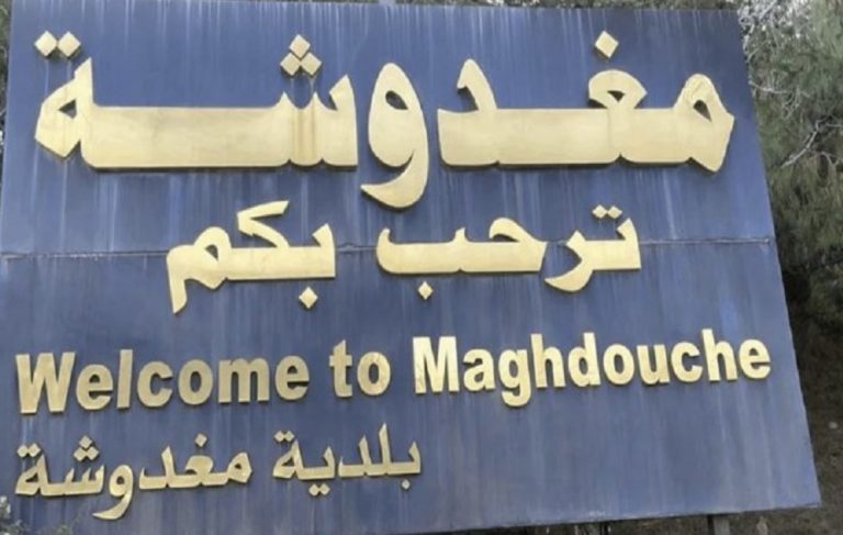 *الجيش”: توقيف متورطين بإشكال مسلح في مغدوشة أسفر عن إصابة شخص وضبط سلاح وذخائر*