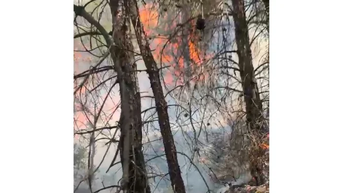 Ayto Fire